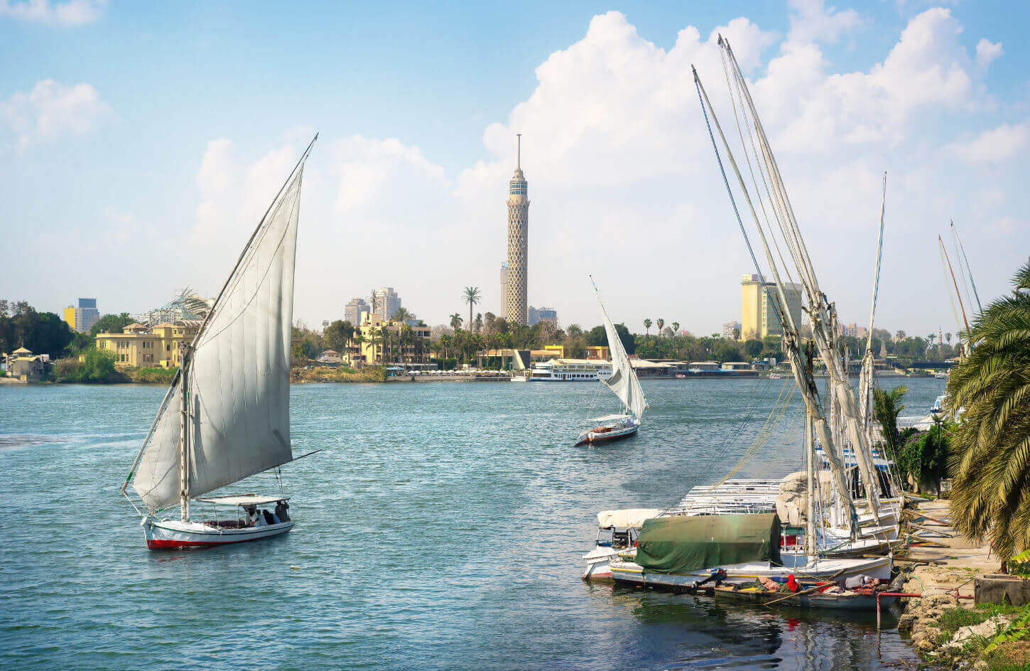 The felucca in cairo at the nile river with the cairo tower