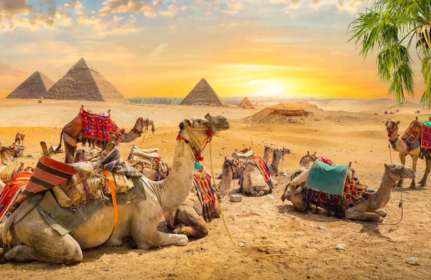 Some beauty in front of the pyramids