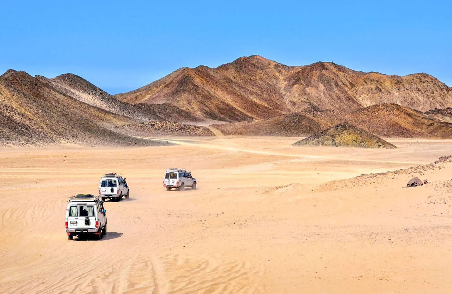 Some 4 4 jeeps from one of the safari trips 1