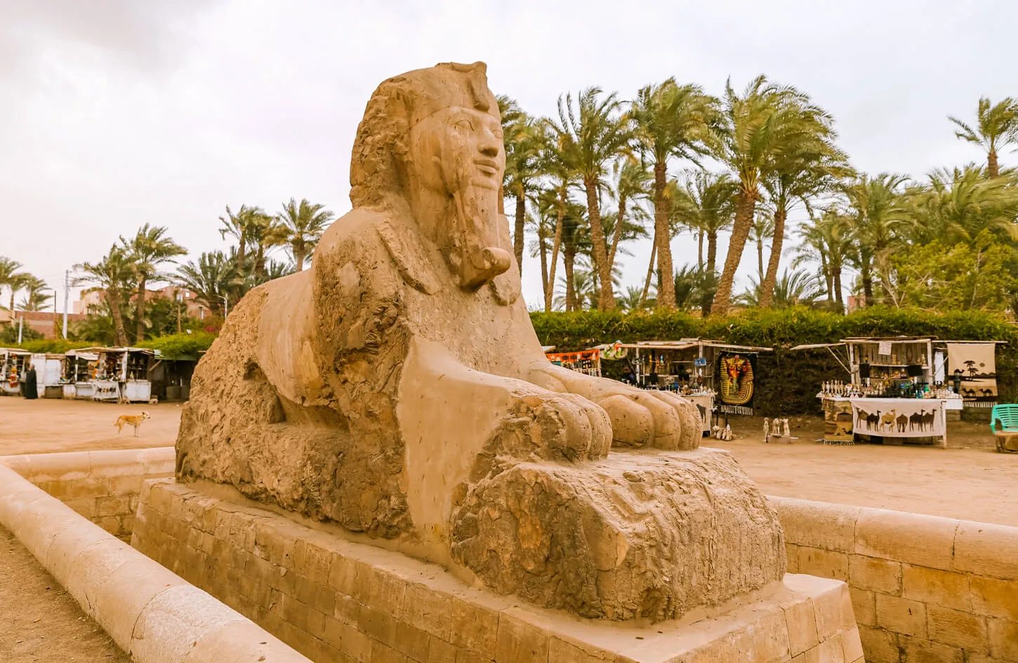One of the Great Sphinx statues from the city of Memphis