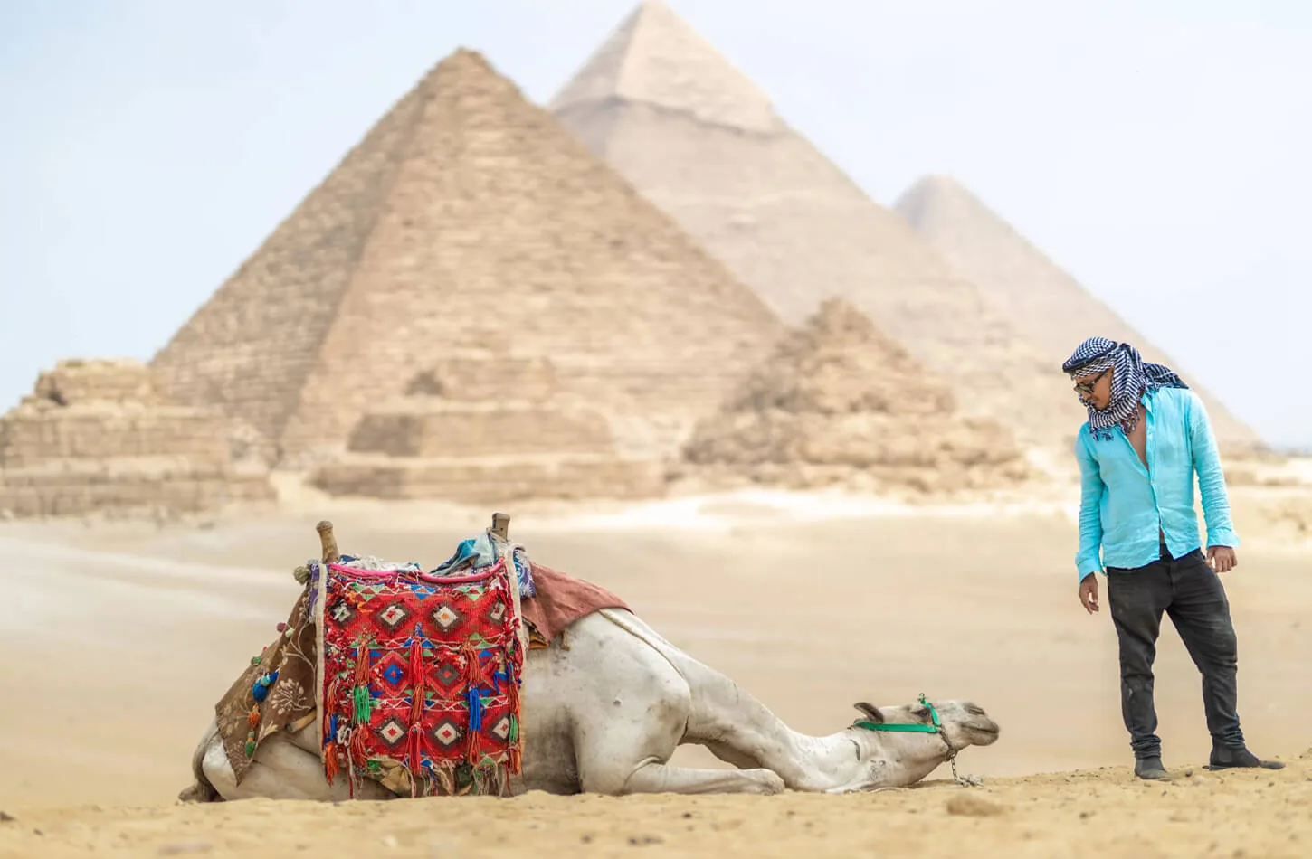 A tourist in front of the Giza Pyramids riding camels