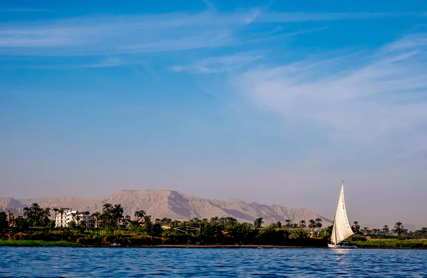 A striking image of one of the flocs in luxor