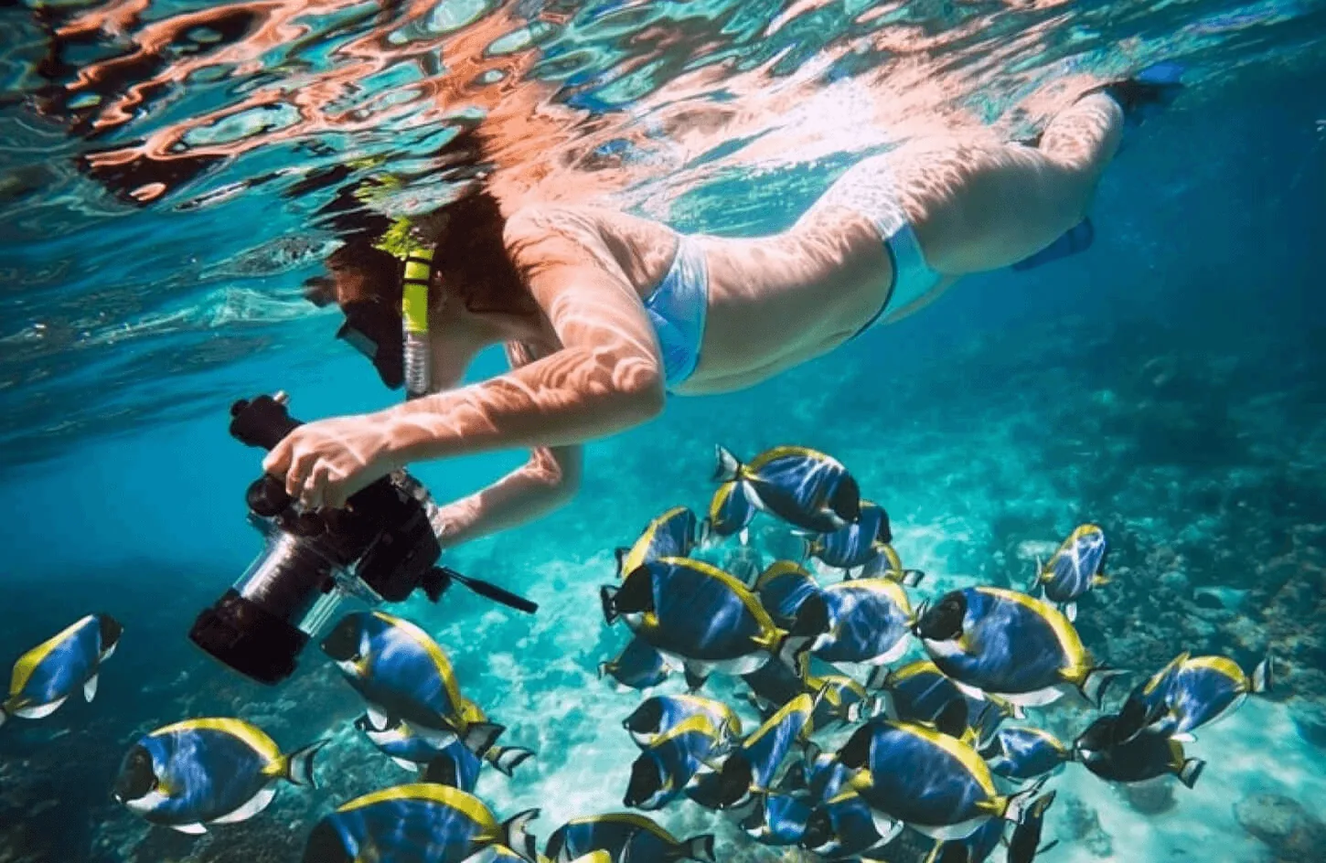 Woman photographing fish underwater in Egypt