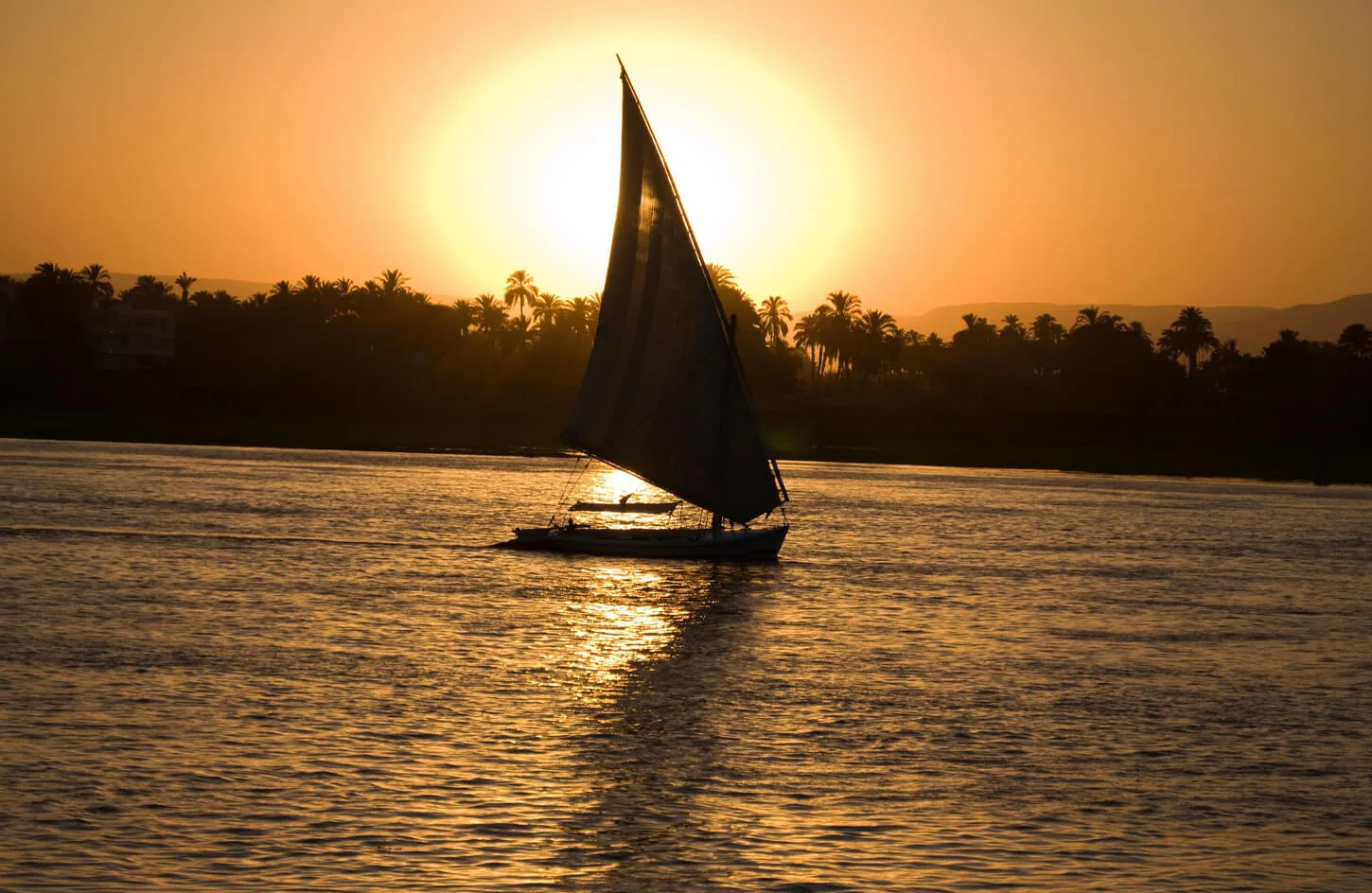 One of the foos at sunset