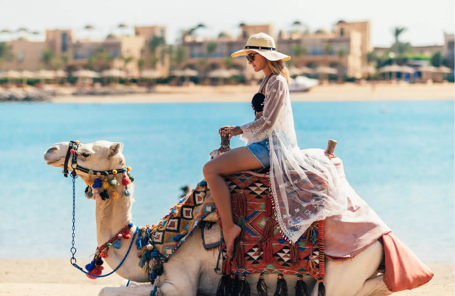 A tourist riding a camel on one of the beaches of the red sea