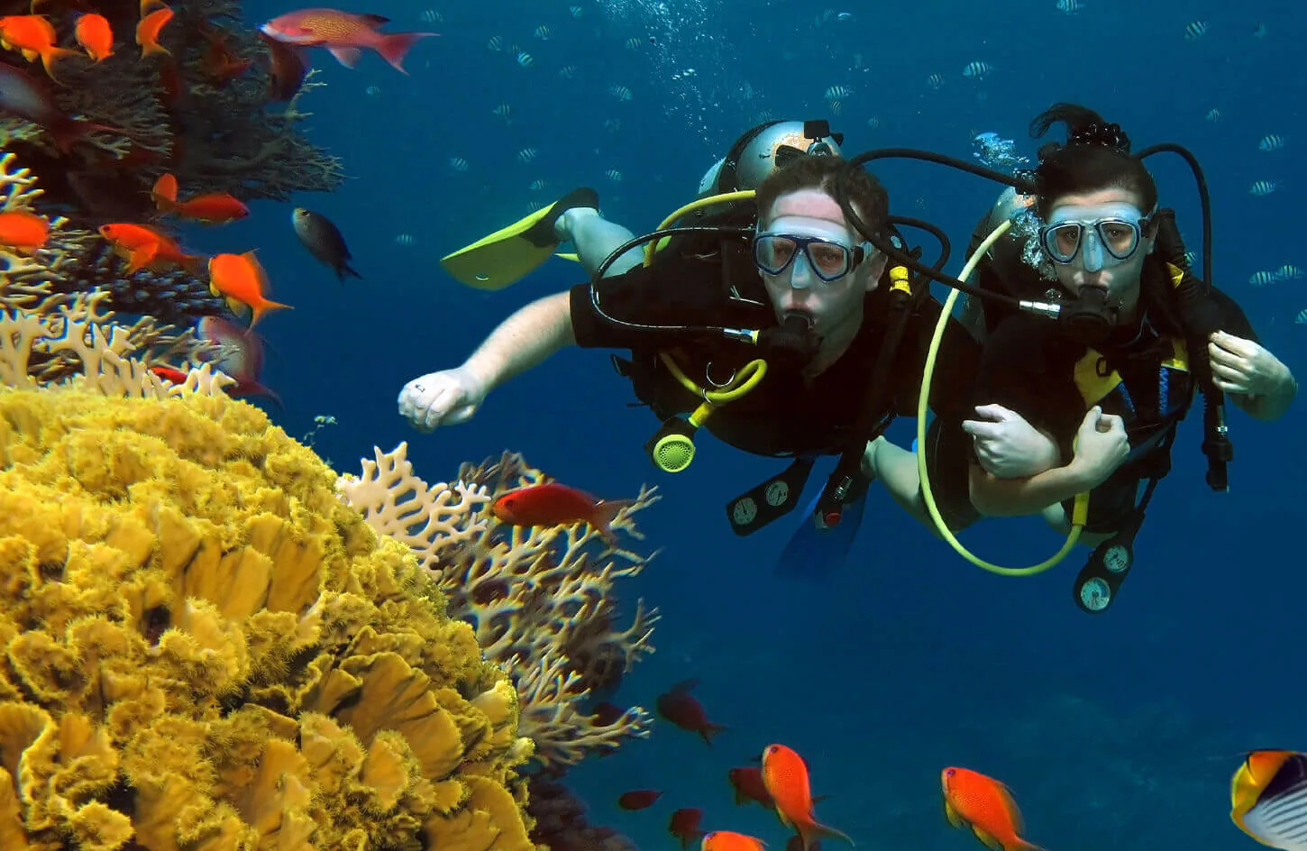 Diving from Sharm El Sheikh Ras Mohammed Nature Bark
