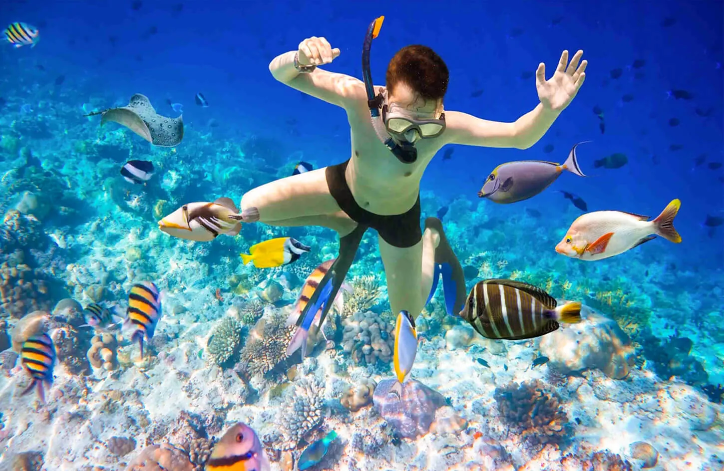 A person diving on Giftun Island