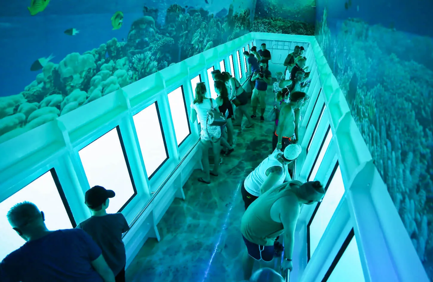 Some visitors from inside the semisubmarine