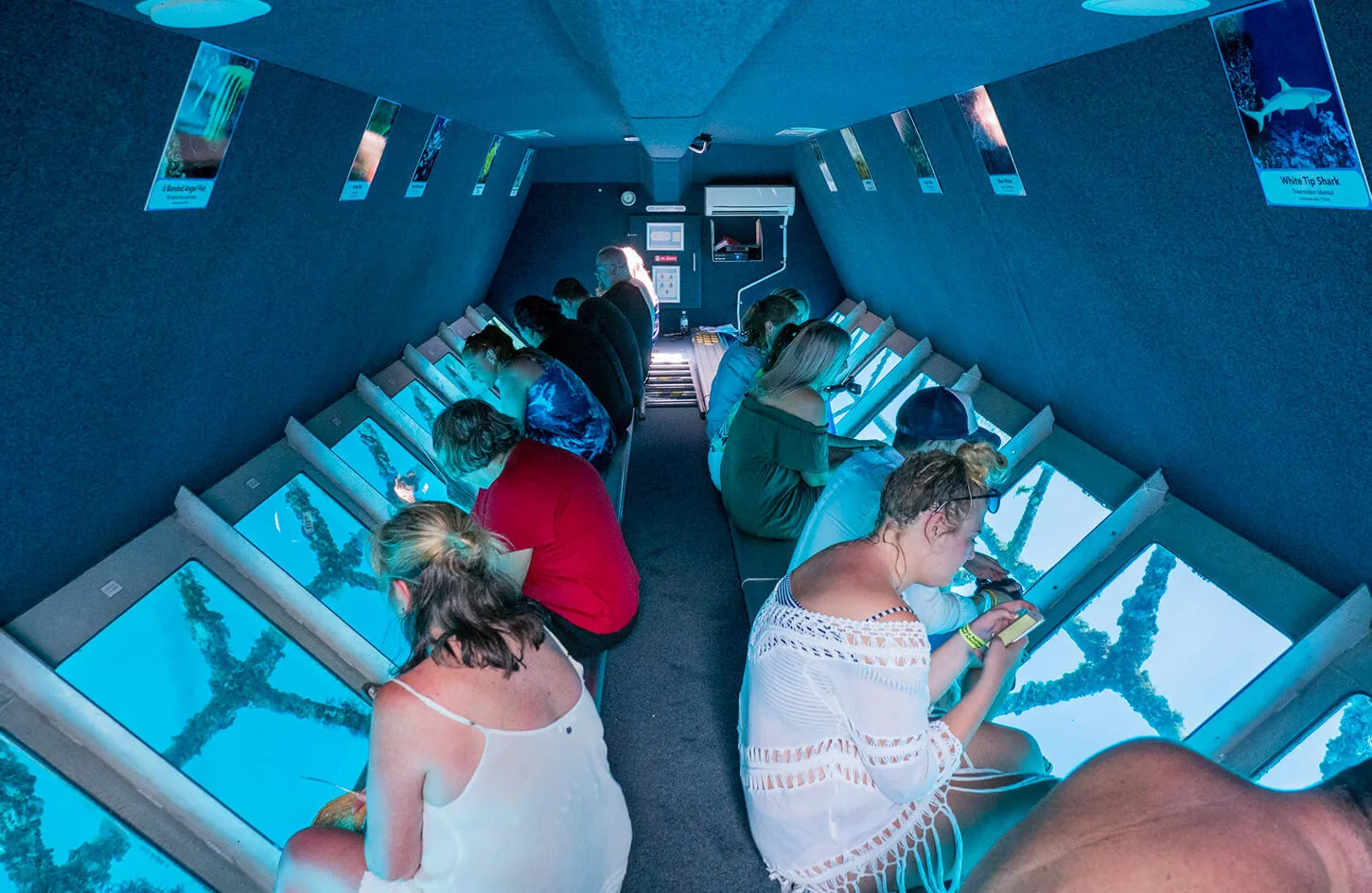 Some visitors from inside the semisubmarine
