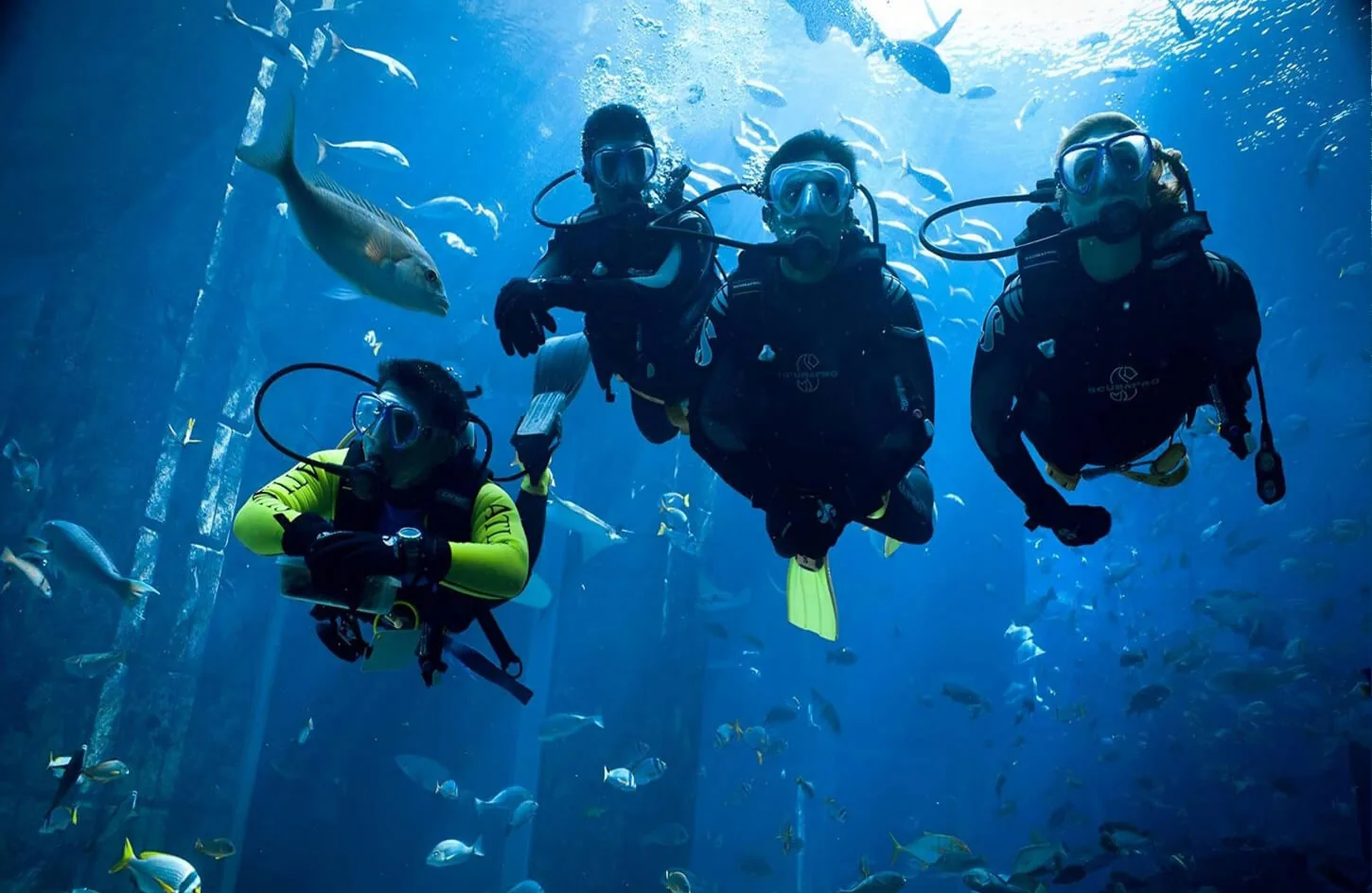 A group of tourists on a diving trip