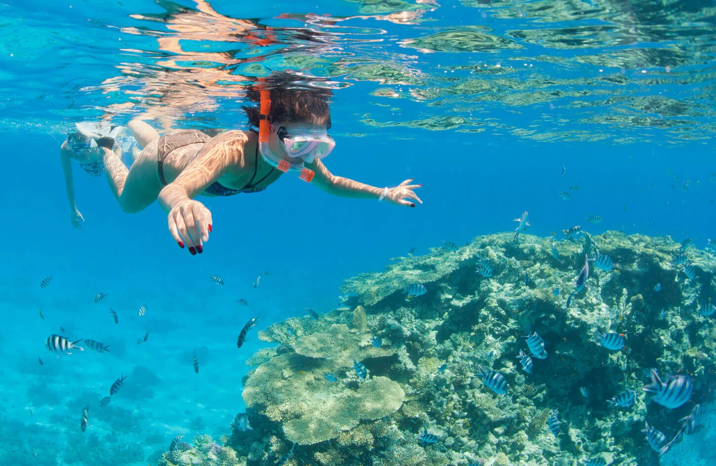 Woman snorkeling in sharm elnaqah