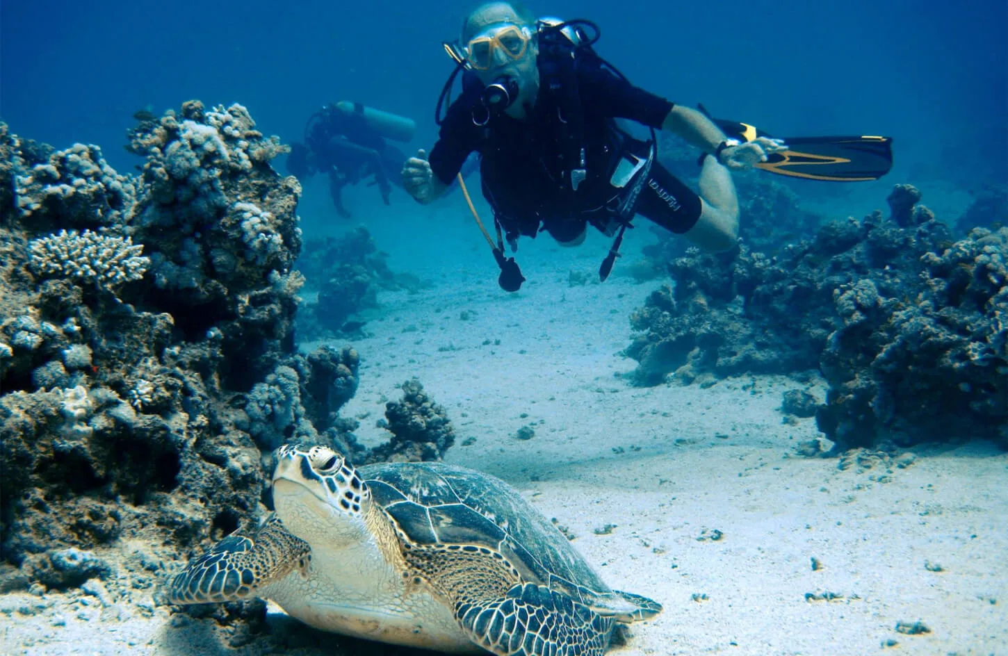 Tourists diving in marsa alam