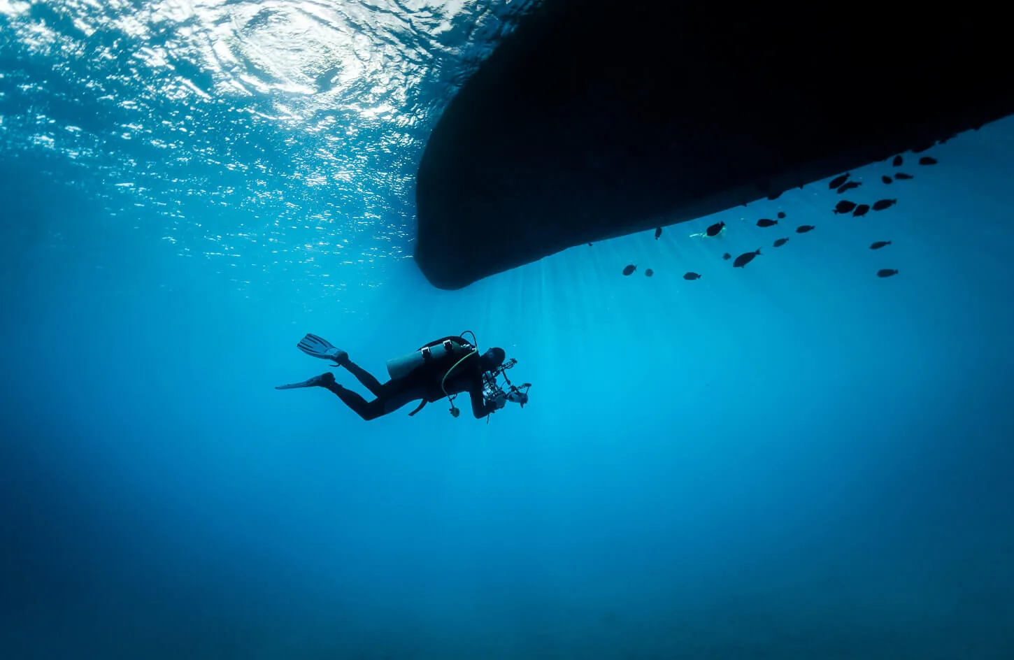 Snorkeling trip