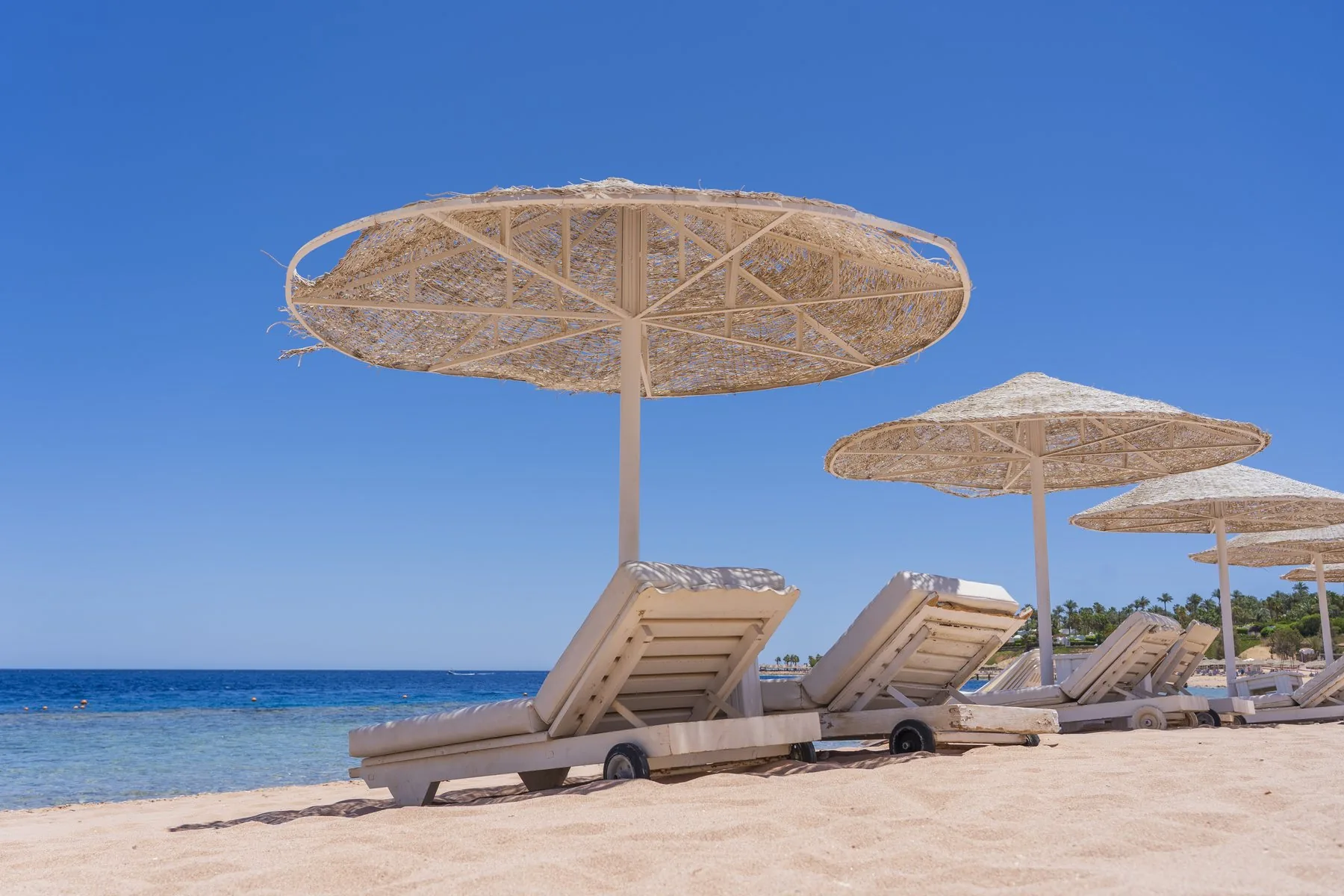 City sharm el sheikh tours