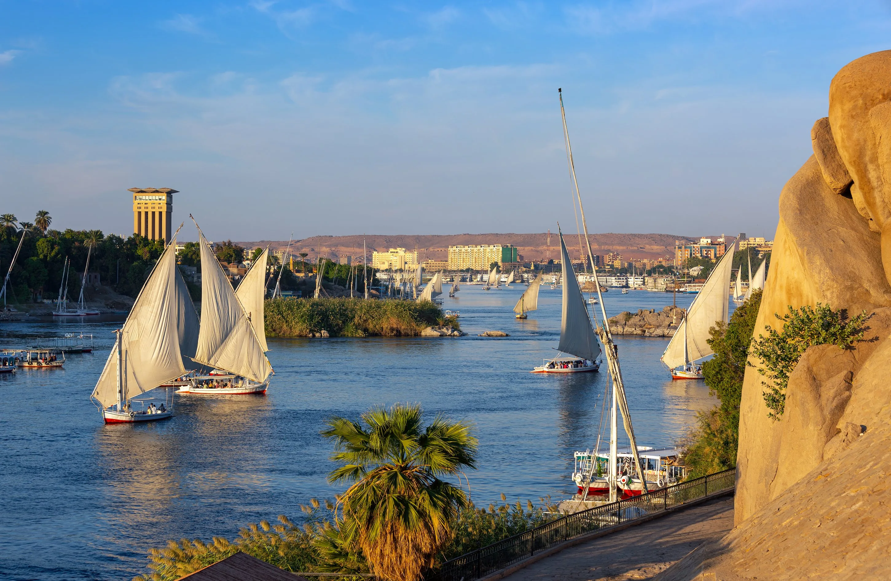 White-sailed feluccas sailing on the Nile River in Aswan