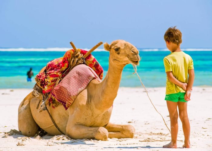 A-child-with-a-camel-from-the-beaches-of-Hurghada